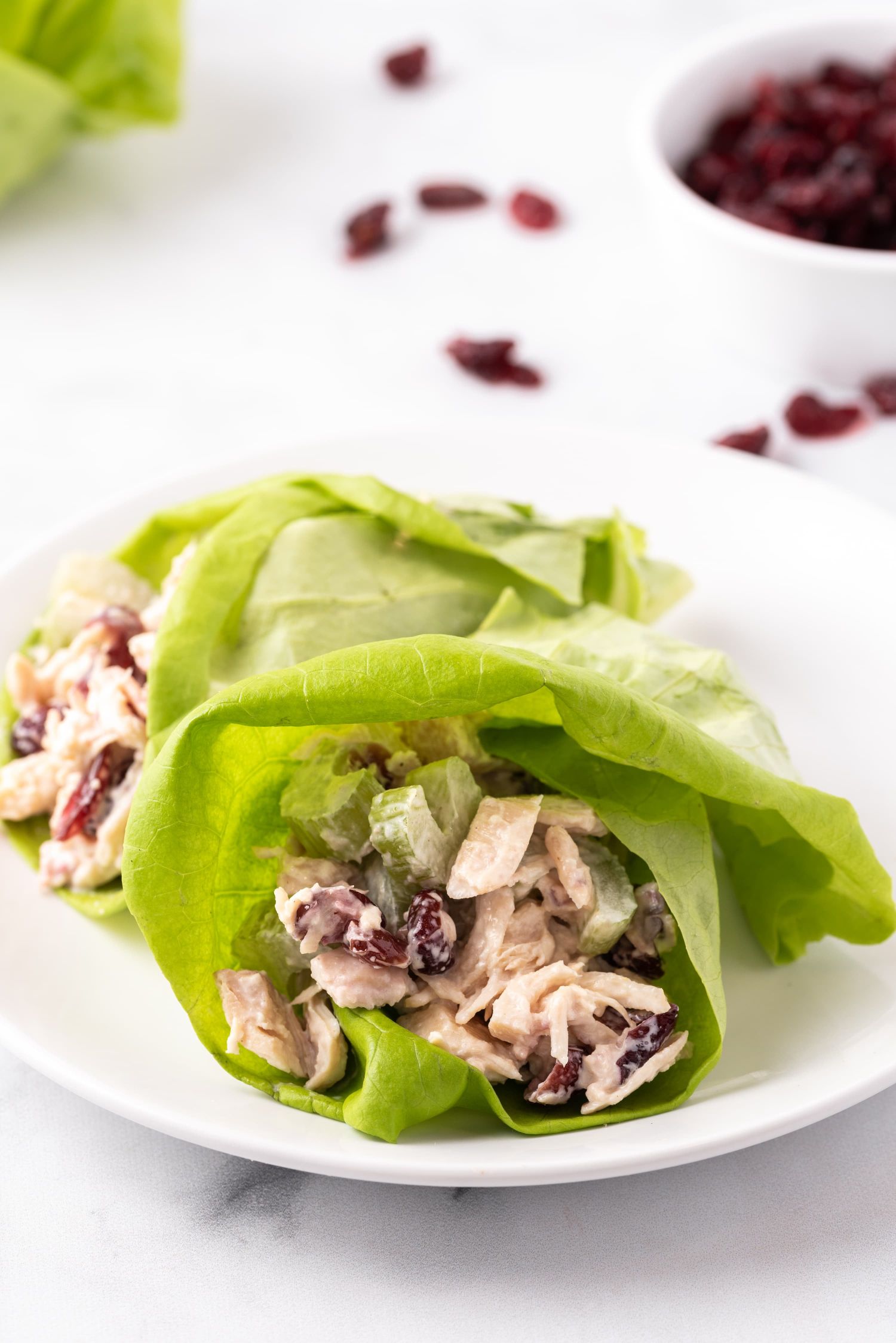 Cranberry chicken salad wrapped in butter lettuce with celery on a white plate.