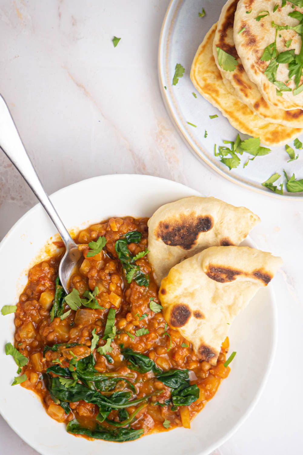 Madras lentils in a coconut tomato curry sauce with spinach and potatoes.