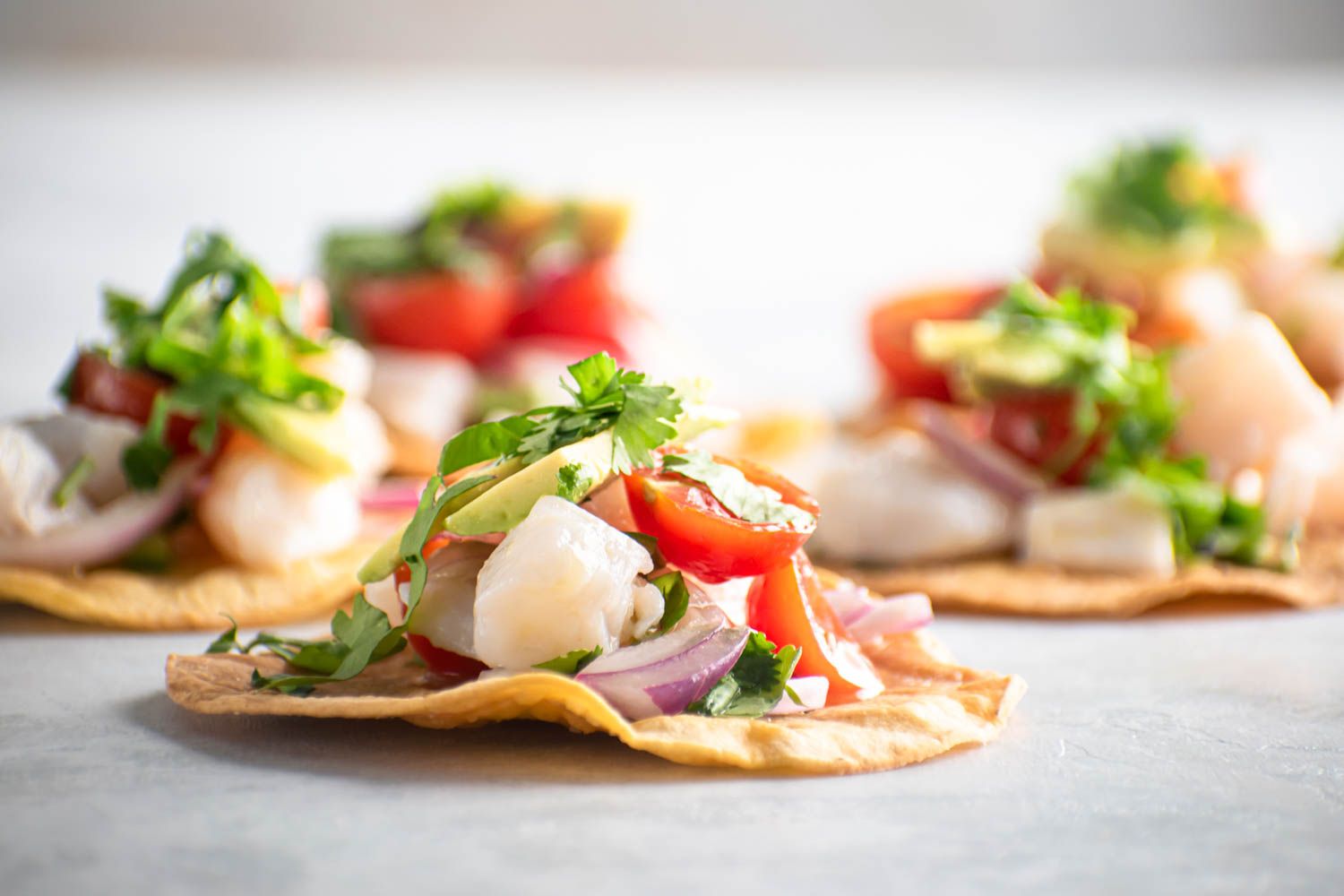 Tostadas de Ceviche with white fish cured in lime juice, tomatoes, red onion, cilantro, and avocado on a baked corn tortilla.