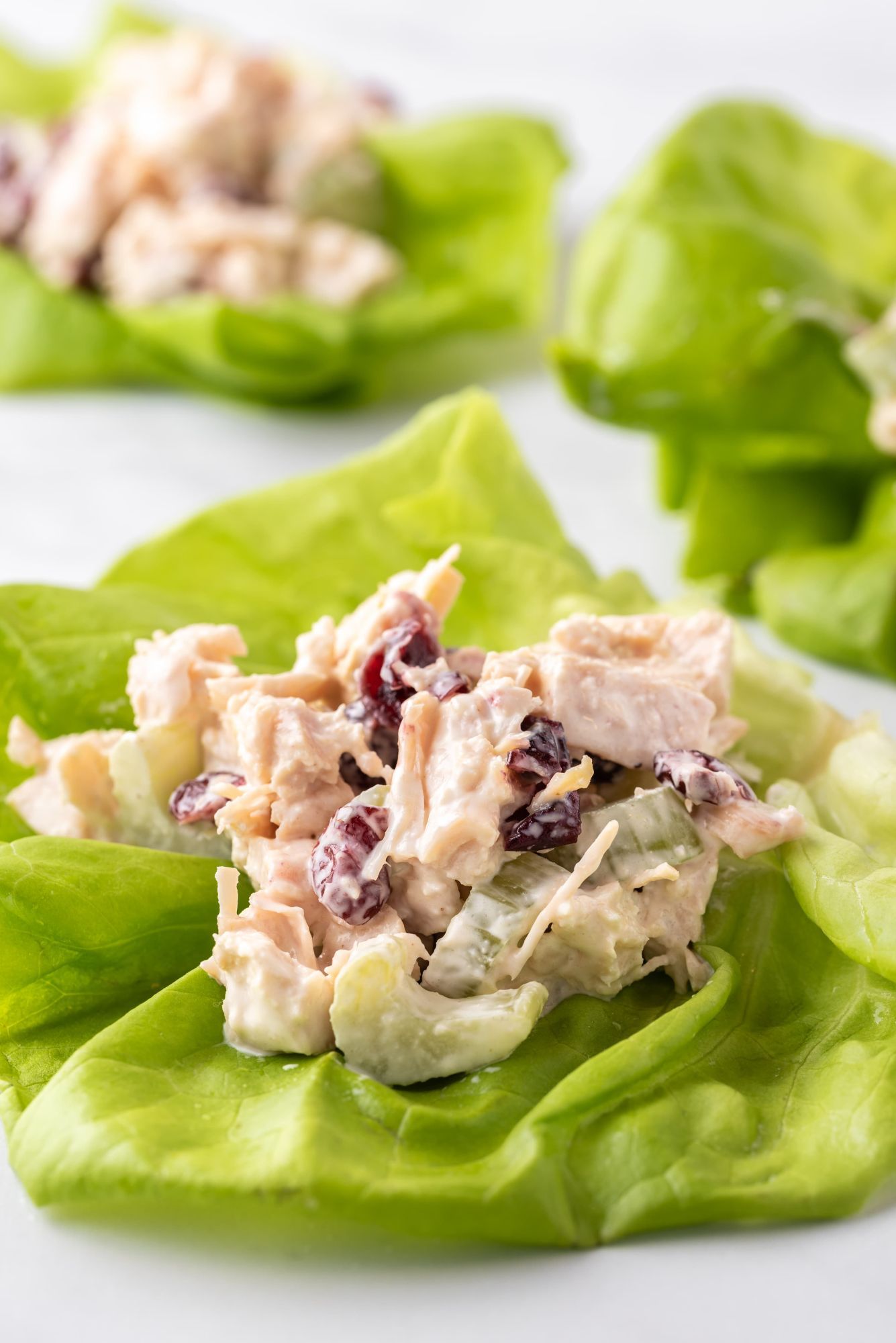 Chicken salad wrapped in lettuce with cranberries, celery, and cooked chicken in a yogurt dressing.