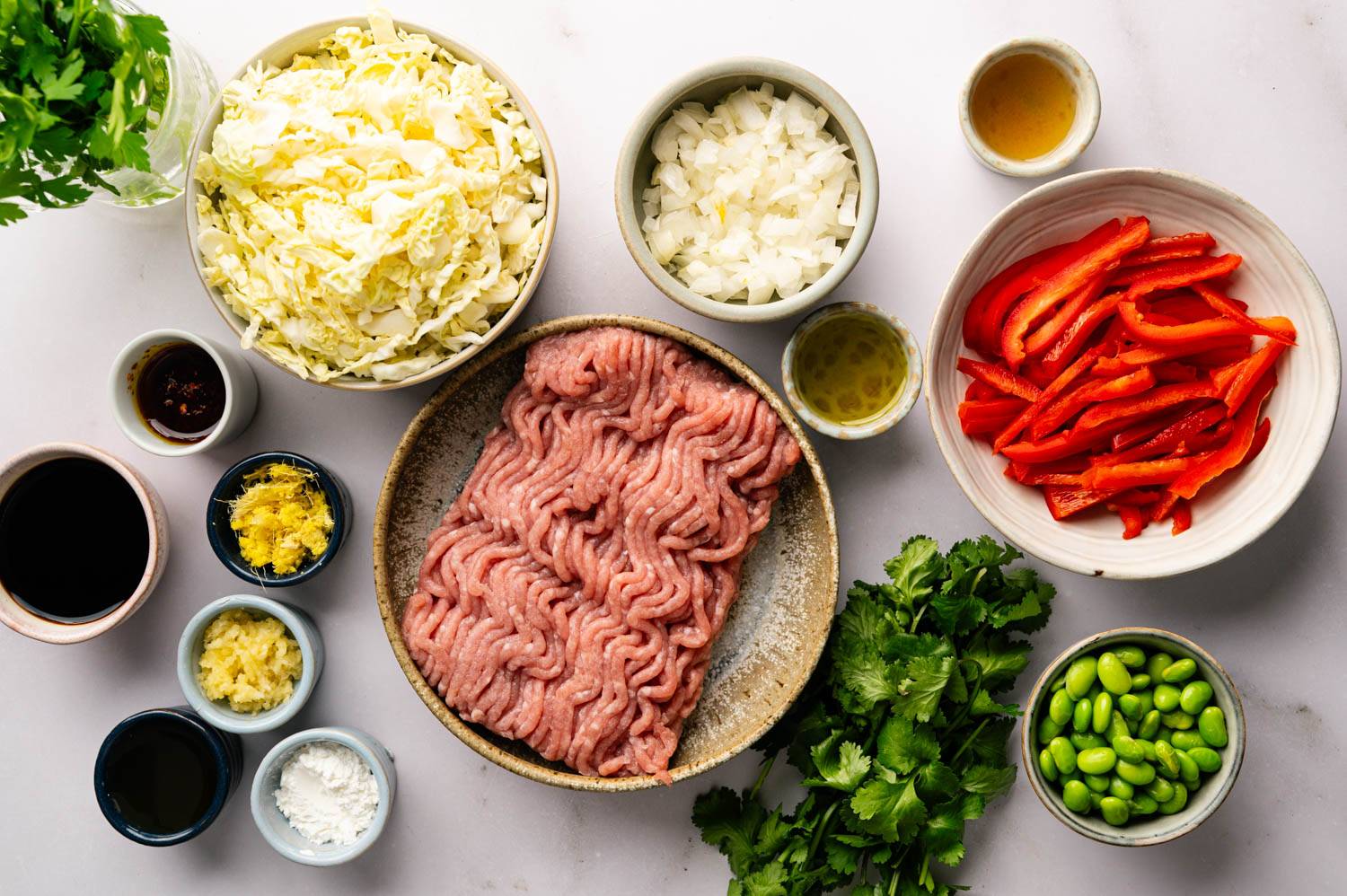 A collection of vibrant ingredients including minced meat, cabbage slices, red pepper, onion, soy sauce, ginger, edamame, coriander and spices arranged neatly in a bowl on a white background.