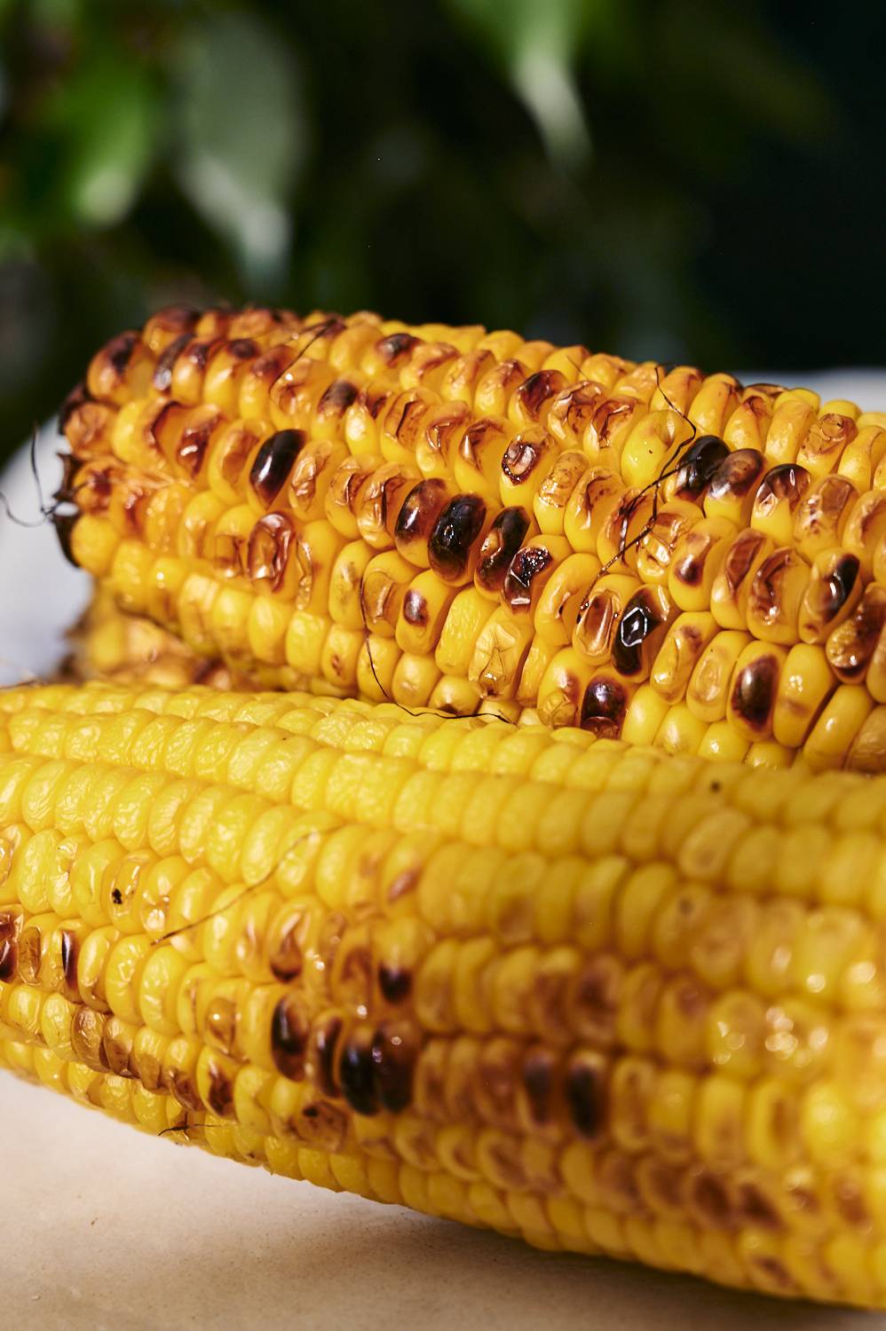 Two ears of grilled corn, one partially charred and golden yellow, set against a blurred green background.