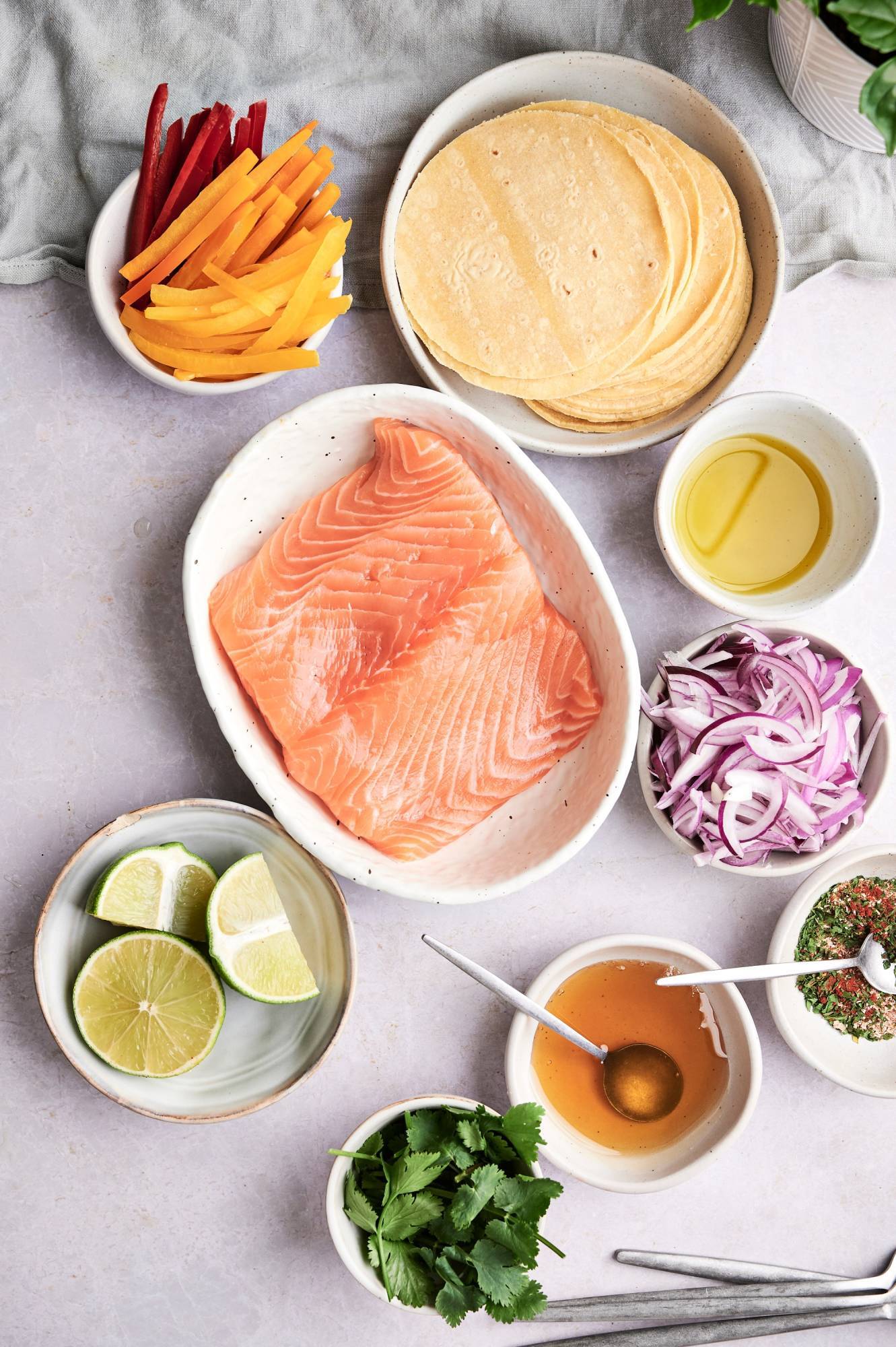 Ingredients for salmon fajitas including fresh salmon, red onions, bell peppers, fajita seasoning, cilantro, corn tortillas, and limes.