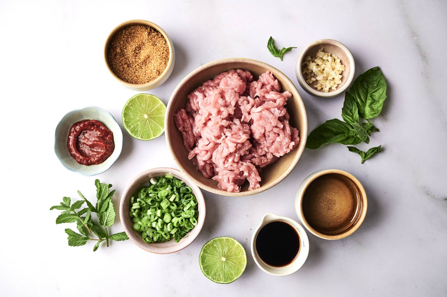 A bowl of ground meat surrounded by ingredients: brown sugar, lime, scallions, herbs, garlic, sauce, and chili paste on a marble surface.