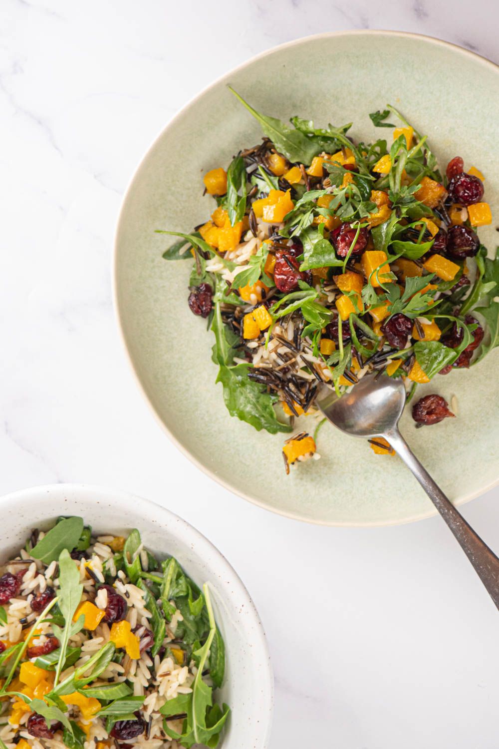 Wild rice salad in a bowl with arugula, squash, cranberries, and a lemon tahini dressing.