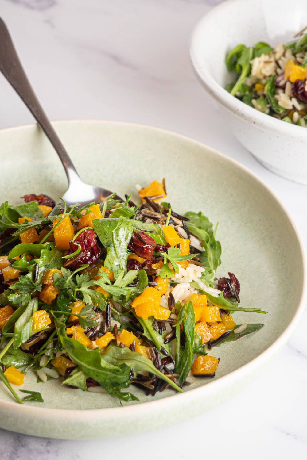 Salad with wild rice, acorn squash, cranberries, arugula, green onions, and lemon dressing in a bowl with a fork.