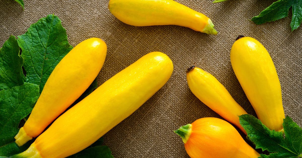 Healthy Yellow Squash Recipes Slender Kitchen