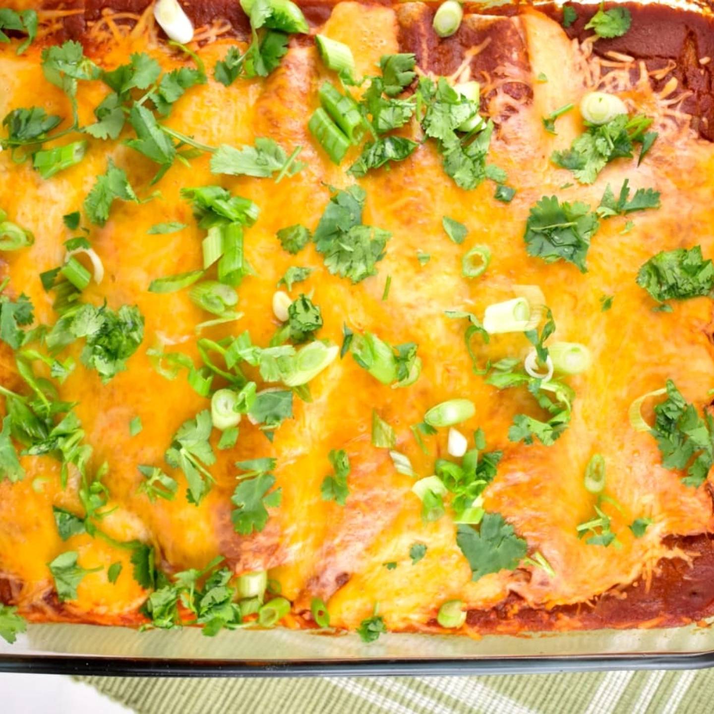 Chicken and Black Bean Enchiladas Chicken and bean enchiladas in a casserole dish with melted cheese on top.