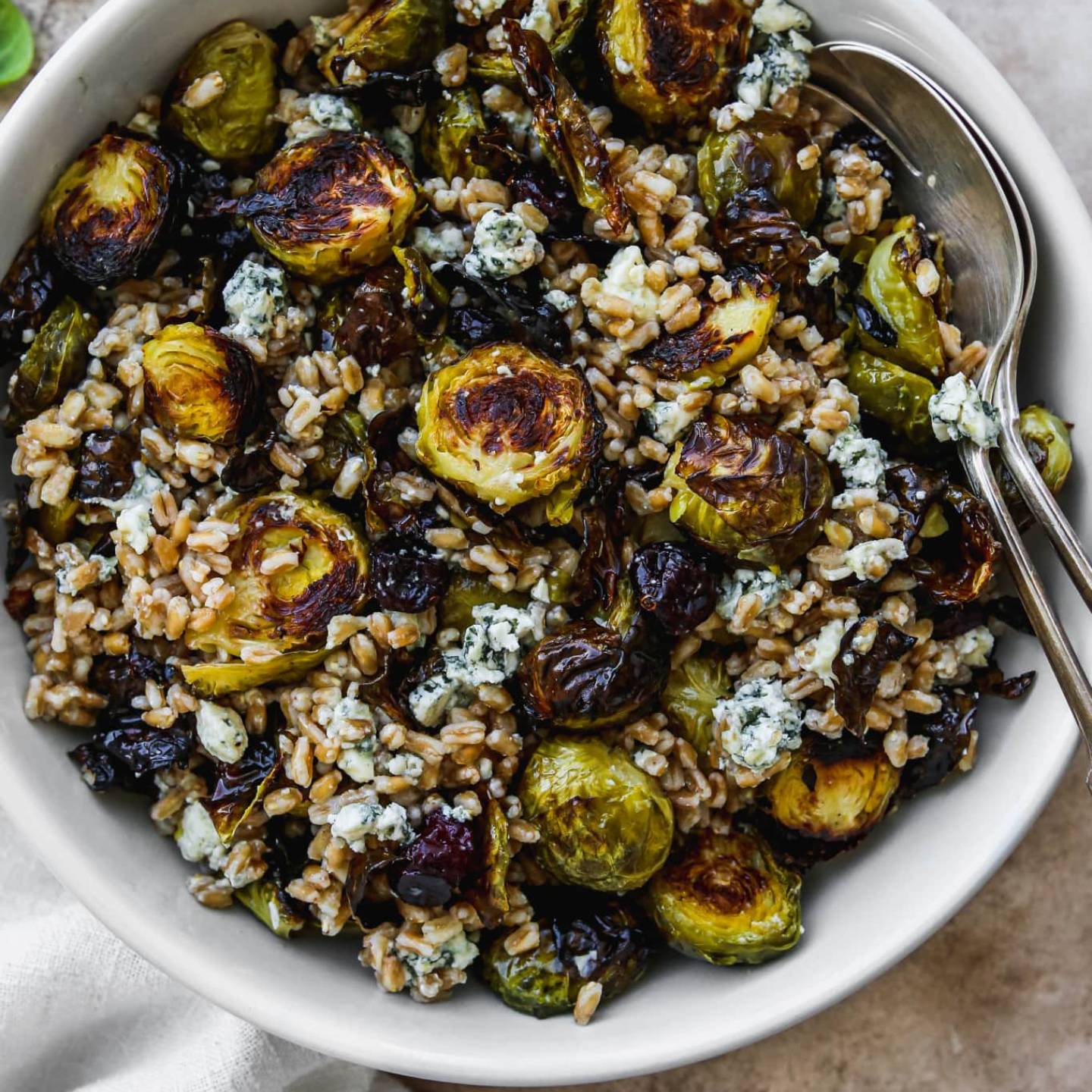 Warm Roasted Brussels Sprout Salad