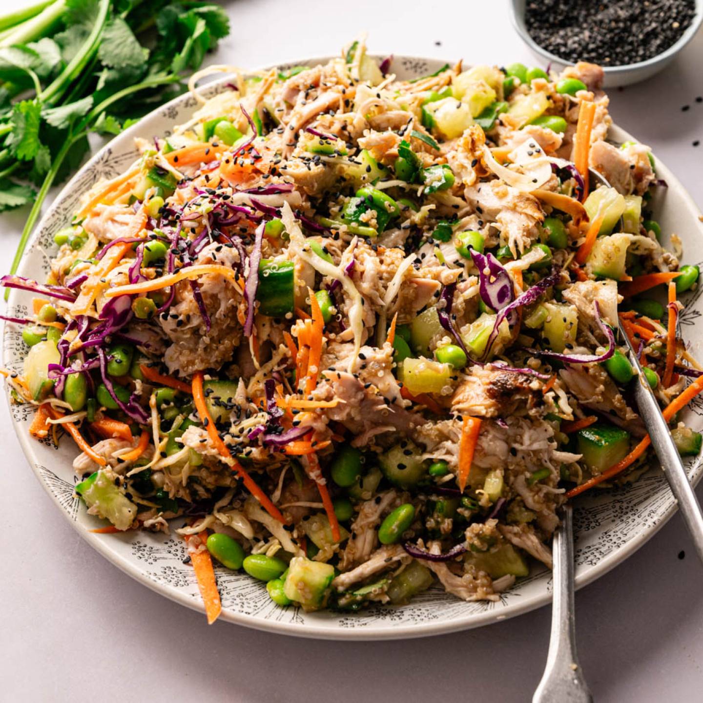A vibrant Asian-inspired salad with shredded chicken, edamame, cucumber, carrots, and red cabbage on a plate, garnished with black sesame seeds.