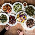 Roasted vegetables including broccoli, cauliflower, mushrooms, beets, and Bok choy on a wooden table.