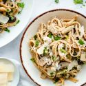 Mushroom pasta with a creamy sauce in a bowl with a spoon.