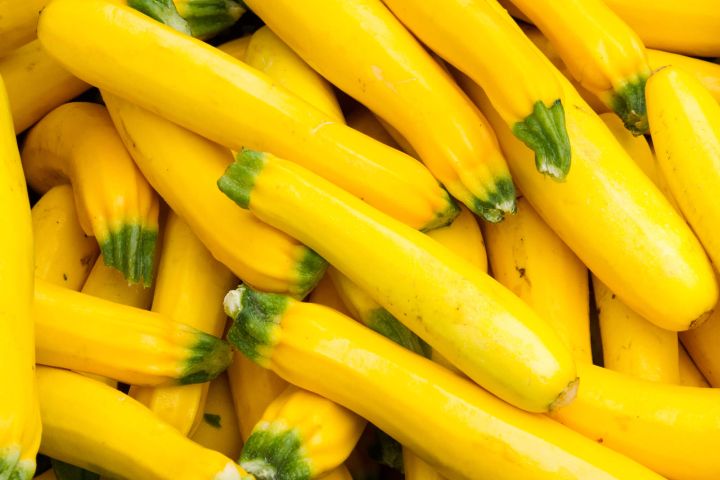 Large group of yellow squash with green areas at the root.