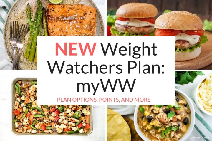 weight watchers diet plan free download