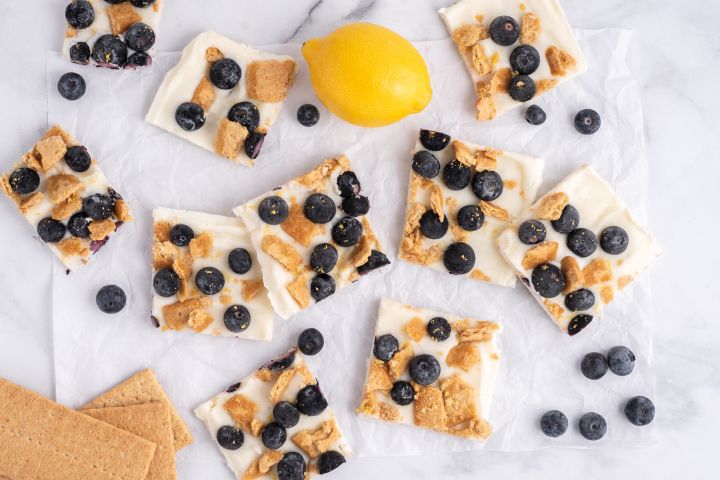 Blueberry lemon frozen yogurt bark with graham crackers on a white board with fresh lemon and blueberries.