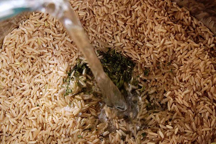 Brown rice, dried parsley, olive oil, and water in an Instant Pot.